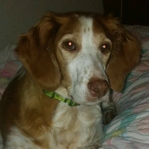 Meet your Posher, Tami